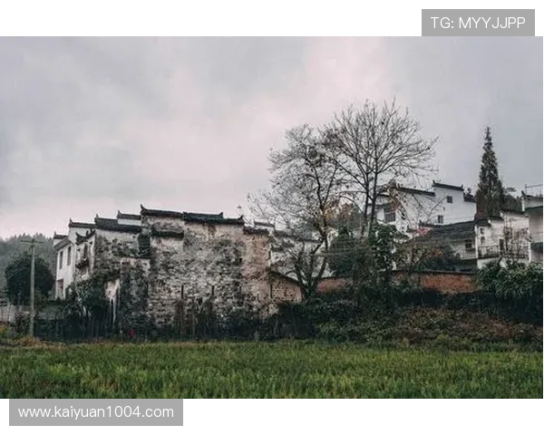 解析鼎博游戏官网的游戏规则与技巧,快速提升胜率 解析鼎博游戏官网的游戏规则与技巧,快速提升胜率